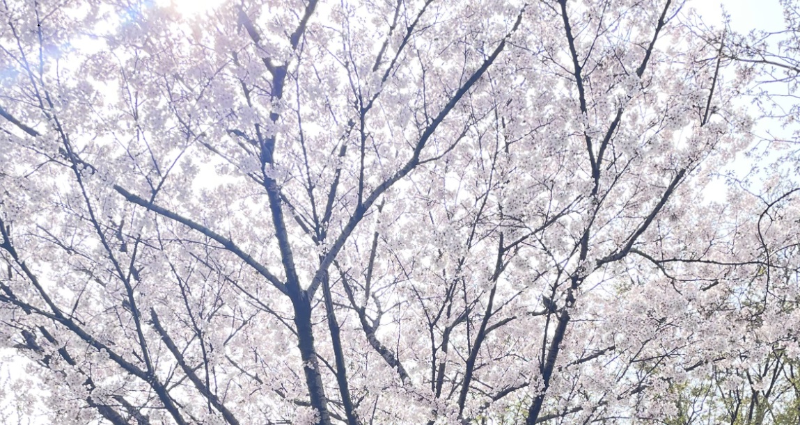 청주대학교 자율주행 자동차 강의 후기(3)